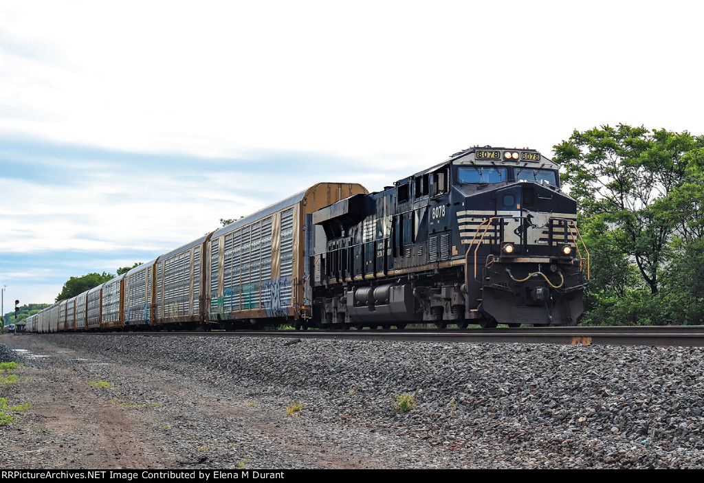 NS 8078 on 11N